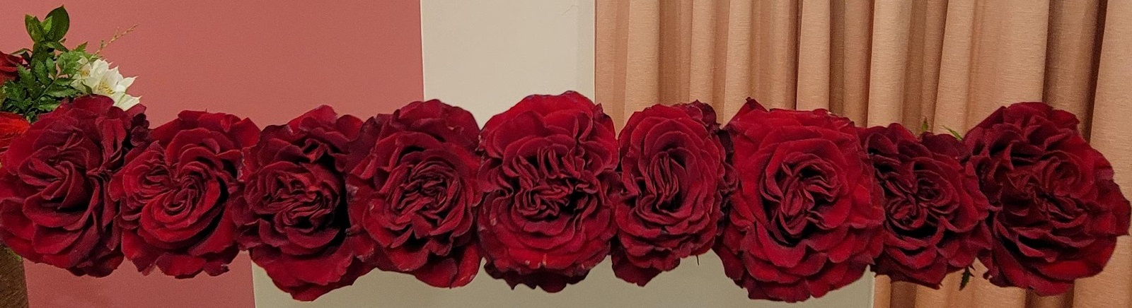 Roses - Image recadrée
